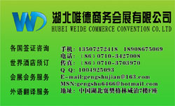 Ψ������